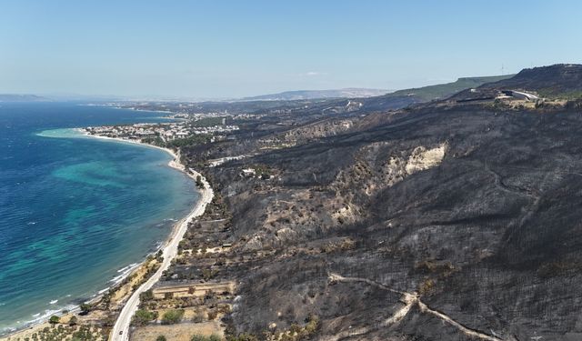 Çanakkale'de yangın felaketinin bıraktığı acı manzara!