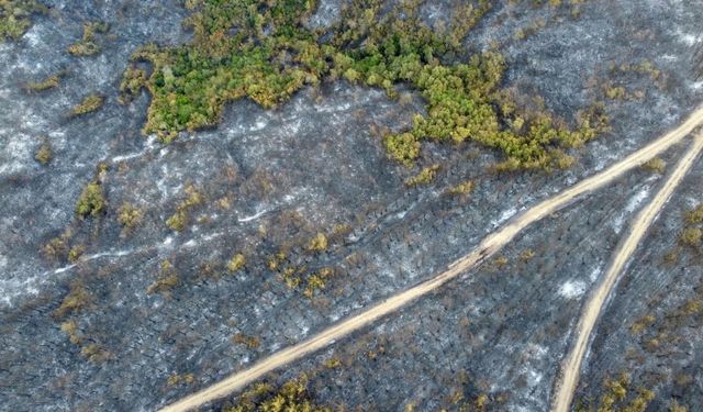 Gelibolu’daki günler sonra kontrol altına alınan yangın yeri görüntülendi!