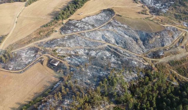Gelibolu’daki orman yangınının tahribatı dronla görüntülendi