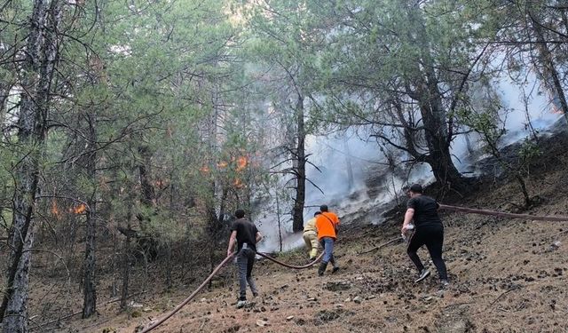 Denizli’de orman yangını üçüncü gününde kontrol altına alınamadı