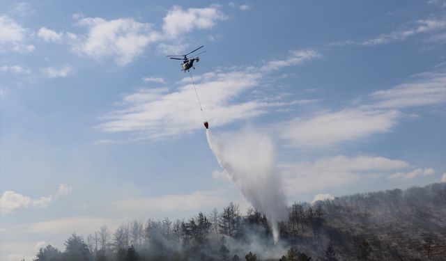Kocareli İzmit'te korkutan yangın! Alevler yükseldi