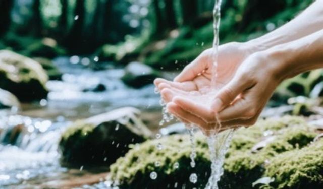 Temiz su krizi o hastalığı tetikliyor! DSÖ'den küresel salgın alarmı