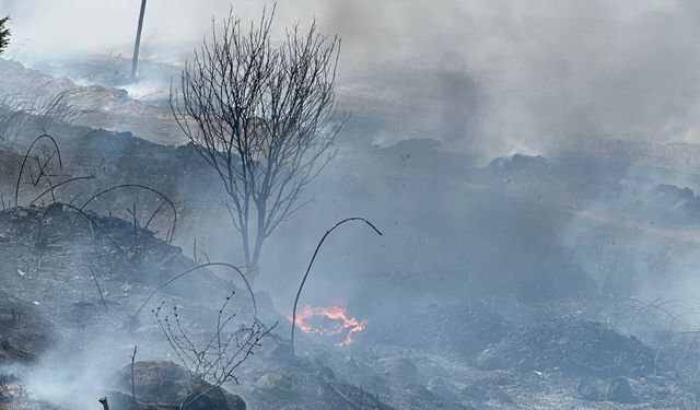 Balıkesir'de Kuş Cenneti yolu üzerinde korkutan yangın!