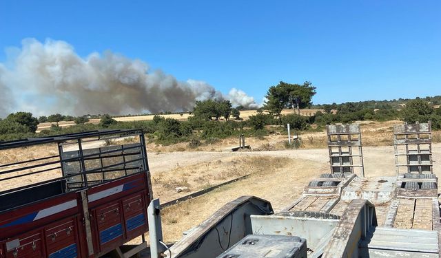 Çanakkale Ezine'de yangın: Rüzgar alevleri büyütüyor!