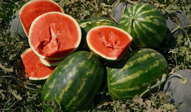 70 kilometrede büyük fiyat farkı: Tarlada 30 kuruş tezgahta 11 lira!