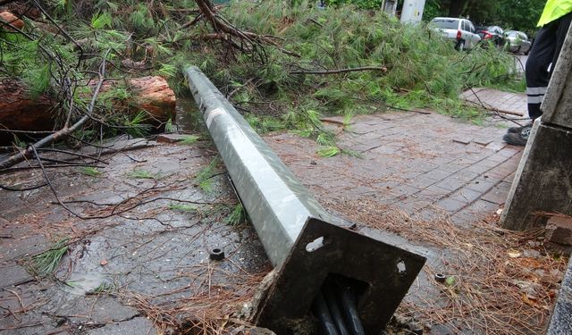 Kocaeli'de sağanak: Yıldırım evin çatısına düştü