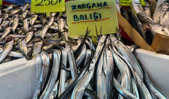 Balık sezonu hareketlendi, hamsi ucuz, lüfer cep yakıyor