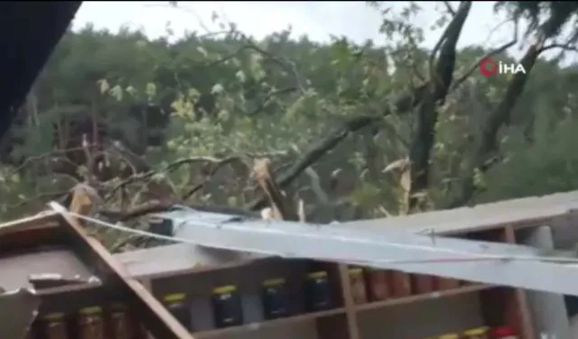 Balıkesir’de hortum kabusu! İşletme yıkıldı, ağaçlar kökünden söküldü