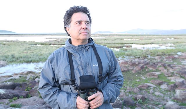 Dünyada ilk: Türk bilim insanından 11 bin 589 kuş türünü kapsayan veri tabanı