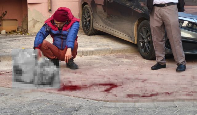 Denizli'de sokak ortasında kardeşini bıçaklayıp evine gitti!