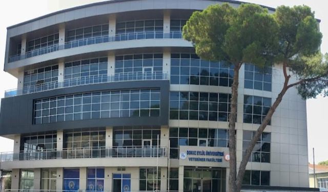 Dokuz Eylül Üniversitesi'ne personel alımı yapılacak! İşte aranan şartlar