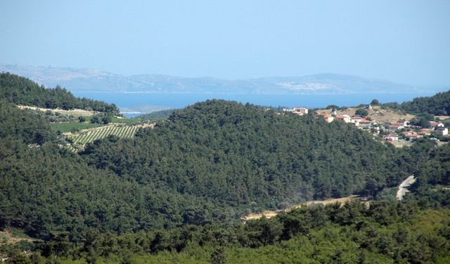 İzmir'deki 548 nüfuslu bu köyde yok yok: Selanik göçmenleri kurdu