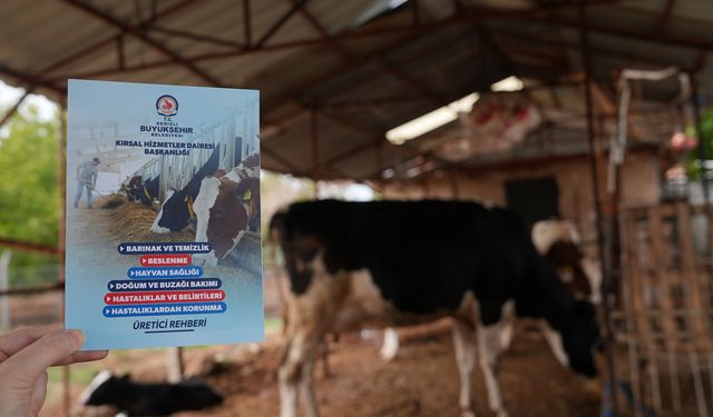 Denizli’de hayvan sağlığına belediye desteği