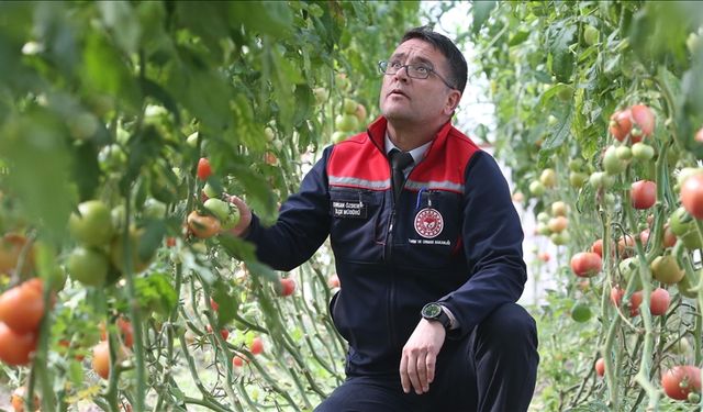 Ziraat mühendislerinin kurduğu sera üreticilere ilham oldu