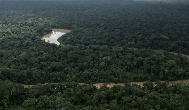 COP30 öncesi çağrı: “Gezegeni korumak için rekabeti değil işbirliğini büyütmeliyiz”