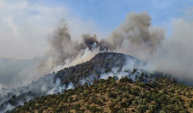 Aydın’da yangın paniği! Ekipler havadan ve karadan müdahale ediyor