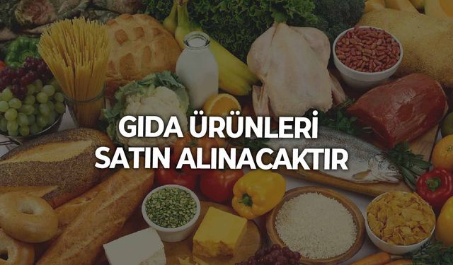 GIDA ÜRÜNLERİ SATIN ALINACAKTIR