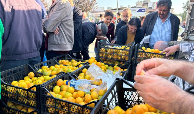 Mandalina tarlada kaldı, üretici çareyi ücretsiz dağıtımda buldu!