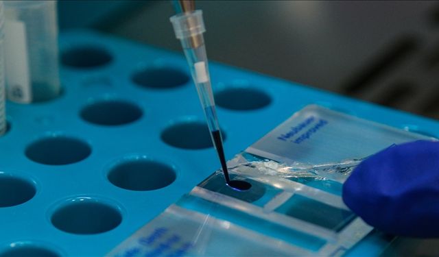 Sağlık Bakanlığı iklim değişikliğine karşı eylem planı hazırlayacak