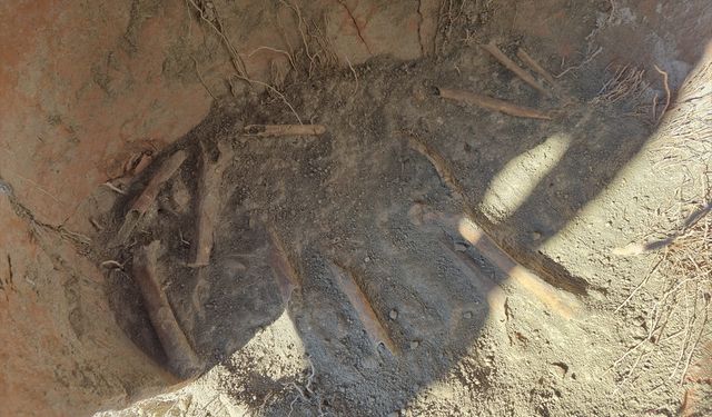 Su borusu döşerken insan kemiği buldular!