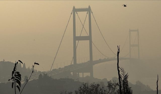 Prof. Dr. Mustafa Öztürk'ten uyarı: İstanbul'un havası sağlıksız! Maskesiz dışarıya çıkmayın