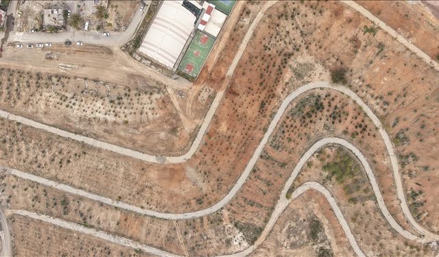 Karbon yutak alanı projesiyle şehir yeşile dönüştürülüyor