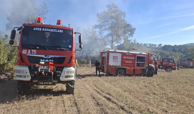 Muğla Yatağan'da iki ayrı yerde korkutan yangın! Ekipler seferber oldu