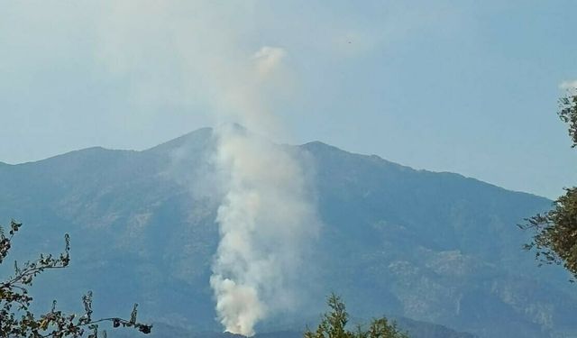 Muğla'da orman yangını! Ekipler sevk edildi