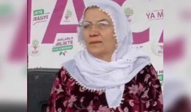 Muhlise Karagüzel kimdir, nasıl tahliye oldu?