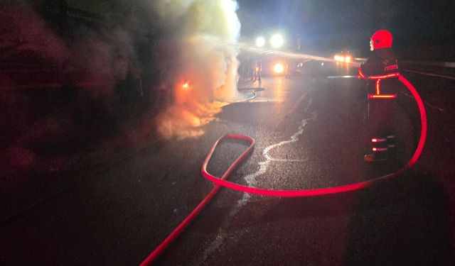 Lastikler tutuştu, yangın büyüdü! Salça yüklü tır hasar gördü