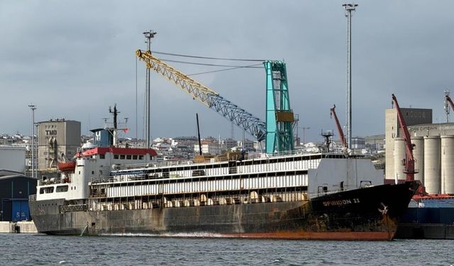 Spiridon 2 gemisinde usulsüzlük iddiası! 48 hayvan telef oldu