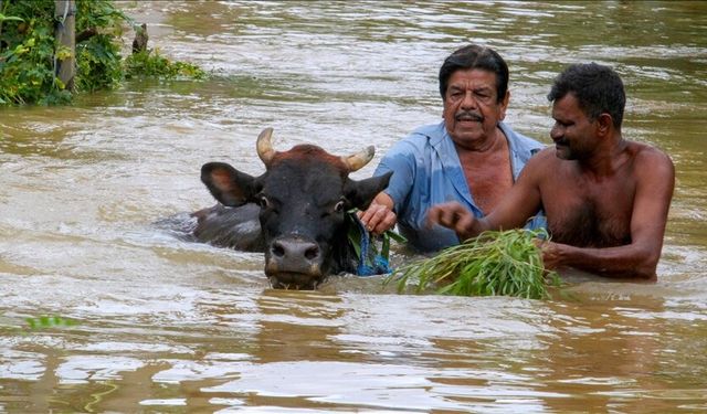 Güneydoğu Asya'yı vuran sel felaketinin bilançosu ağırlaşıyor! Hayatını kaybedenlerin sayısı 200'e yaklaştı