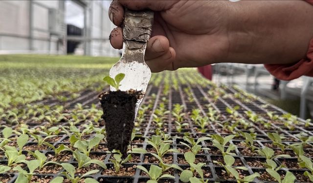 Tarım ve Orman Bakanlığı'ndan OTB'lere 6 milyar liralık dev destek!