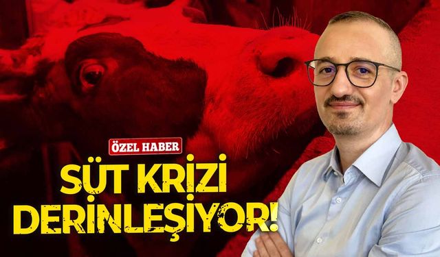 Süt krizi derinleşiyor!