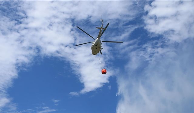 Orman Genel Müdürü Karacabey, Türkiye’nin yangınlarla mücadelede dünyada öncü olduğunu açıkladı