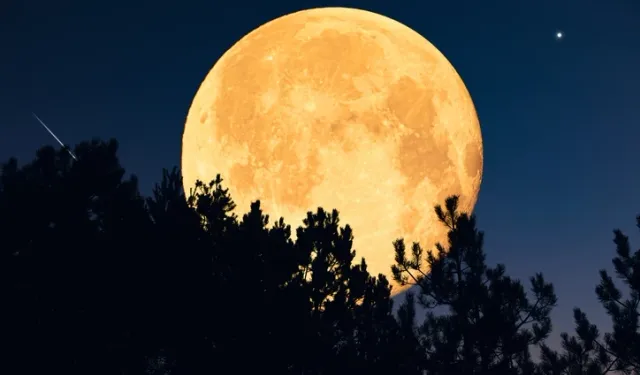 Aralık dolunayının burçlara etkisi 2025 yılında nasıl olacak?