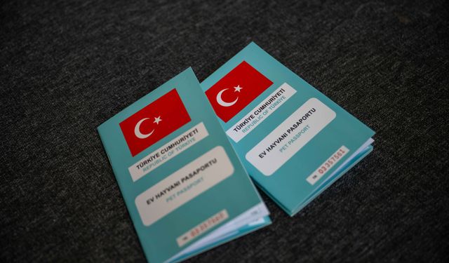 Bornova kırsalında sahiplendirme seferberliği! 55 sokak hayvanı yeni yuvasına kavuştu