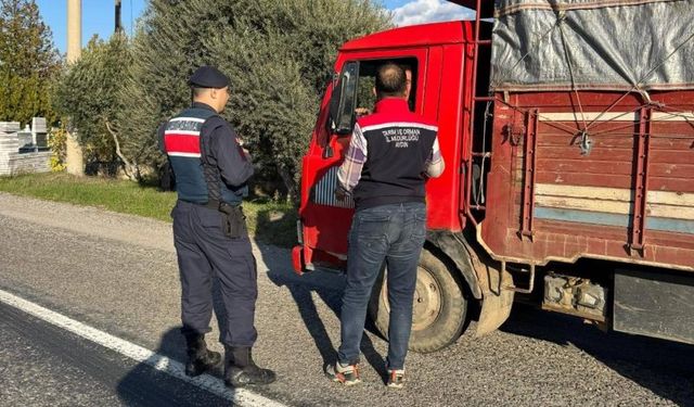 Bozdoğan’da hayvan sevkiyatına sıkı denetim: Tarım ve jandarma ekipleri yol kontrolünde