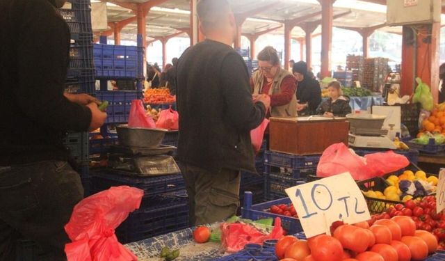 Kaz Dağları’nın lezzeti değer kaybetti: Son hasatta 10 TL’ye indi