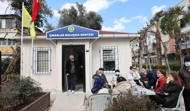 Buca'nın çınarlarını resmen 'Duman' etti!