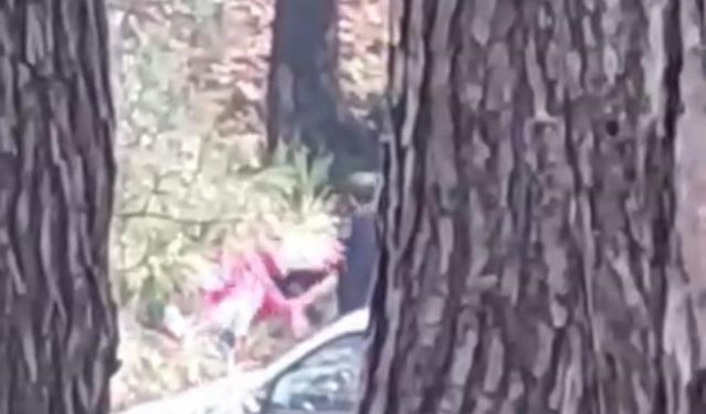 İzmir Buca’da ormanlık alanda şiddet: Kadının çığlıkları kameraya yansıdı