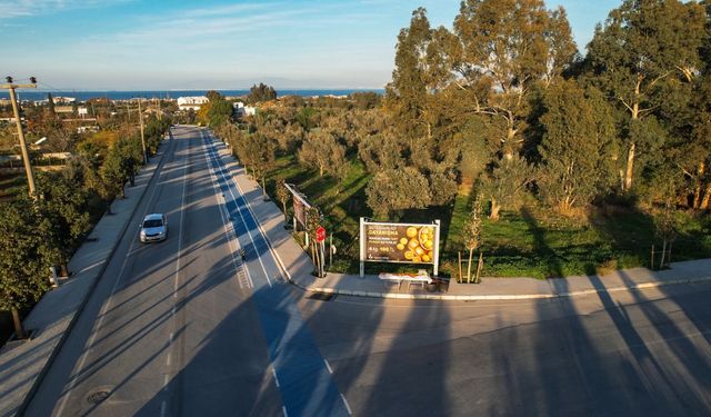 İzmir'de bu tezgahta kamera da yok görevli de: Parasını kutuya at, ürününü al!