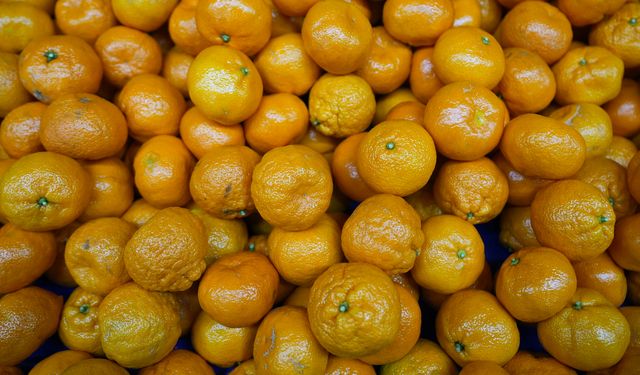 Mandalinada tarihi rekor! Türkiye 11 ayda 615 milyon doları aştı