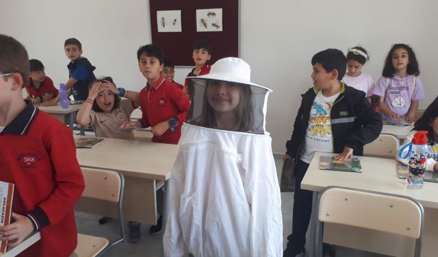 Manisa’da 675 öğrenci arıların izini sürdü