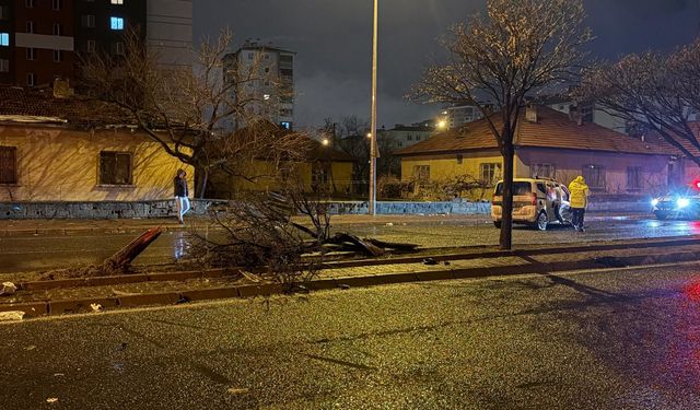 Feci kaza! Hafif ticari araç ağacı ikiye bölüp karşı şeride geçti!