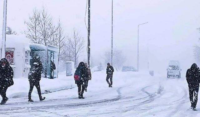 Ardahan'da yarın okullar tatil mi? 13 Şubat 2026 Cuma kar tatili son dakika