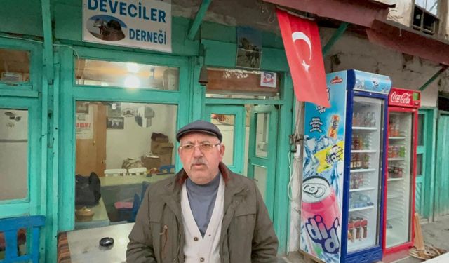 Şap hastalığı deve güreşlerini durdurdu