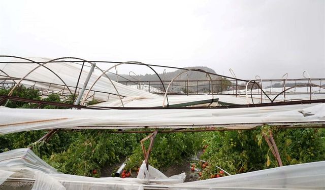 Seydikemer’de hortum ve dolu seraları vurdu: Yaklaşık 100 dönüm alan zarar gördü