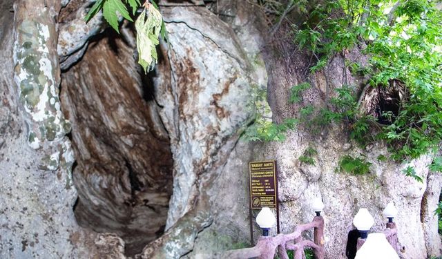 Yaklaşık bin yıldır İzmir'in tarihine tanıklık ediyor: Anıt olarak koruma altında