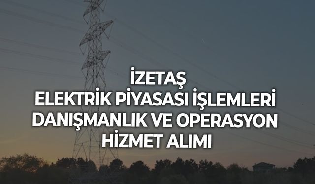 ELEKTRİK PİYASASI İŞLEMLERİ DANIŞMANLIK VE OPERASYON HİZMET ALIMI